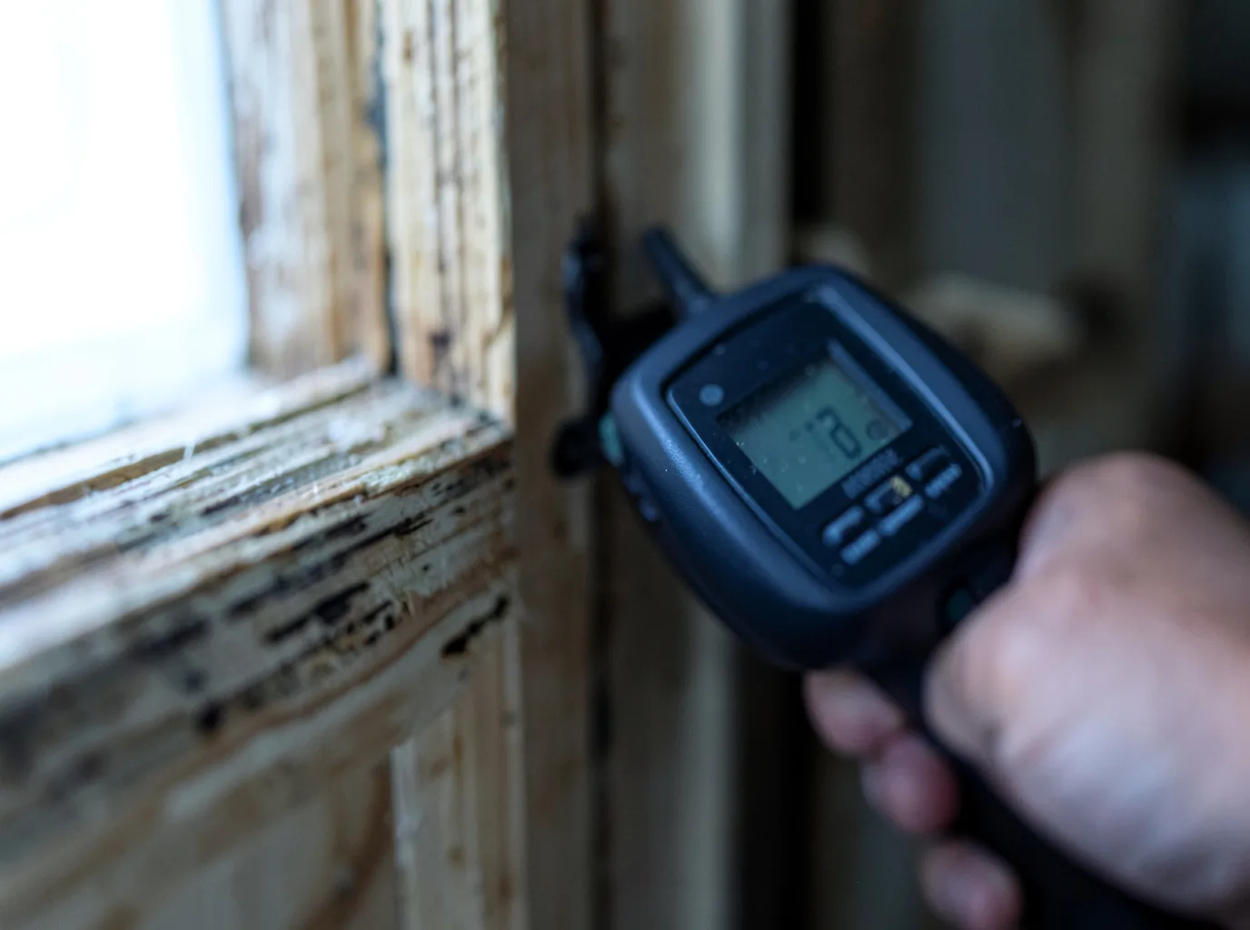 Moisture Inspection And Documentation in Clark, PA